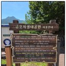 금오산(칼다봉)_숲길(등산)1코스 | 아홉산(☞566, 292m), 이오오봉(☞567, 230m), 칼다봉(☞568, 715m)