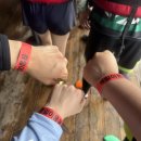 별빛나루펜션 이미지