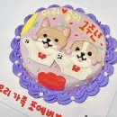 허니스티 펫 베이커리 이미지