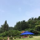 노오란펜션 이미지