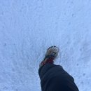 돈내코입구교차로 | 제주도 또 폭설! 한라산 예약/ 제주 도로통제 상황 다 알려드릴게요!