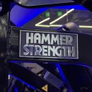 양지헬스 | 일일권으로 가볍게 시작한 헬스, 생각보다 만족했던 이유 (서울대입구헬스장 체험 후기)