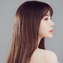 와이낫 스포츠경향