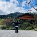 향림오토캠핑장 이미지