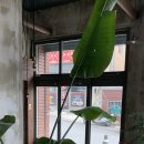 연화방제과 네이버블로그