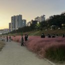 형산강북로 이미지