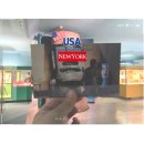 한국자연사박물관 | 미국 자연사박물관 관람순서 및 후기ㅣ박물관이 살아있다 촬영장소