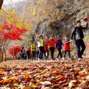 외씨버선길 이미지