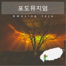 수공목장 | 제주 포도뮤지엄 미술관 박물관 입장료 할인 방법