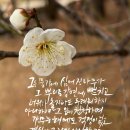 심어진차