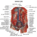 나의 혈관 나이를 측정해 보세요 이미지