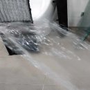 둔포초등학교 이미지