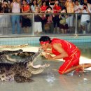 이티농장 이미지