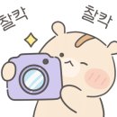 황형범당구아카데미 - 수영구 무학로 42 | 황형범당구아카데미