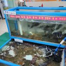 동진 수족관 이미지