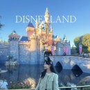 매일월드투어 | [LA] 엘에이 디즈니랜드 투어 후기(2)｜캘리포니아 파크 분수쇼(월드 오브 컬러) 예약 &amp; 명당 🎆