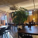 사파동206 이미지