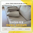 친환경세탁 | 세종소파청소업체, 까사미아 캄포 친환경세탁 후기