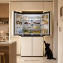 네이처센스 대리점 | LG T876MEE011] LG 디오스 AI 오브제컬렉션 냉장고 870L 1등급 내일 배송 할인 혜택 및 실사용 후기 총정리