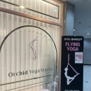 예뜰유치원 | 키즈플라잉요가 분당 정자동 오키드요가 레슨 받은 후기