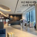 소노문 해운대 | 부산호텔 소노문 해운대 스탠다드 더블 솔직후기 주차 객실요금