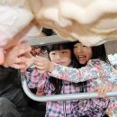 남매목장 이미지