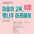 퐁낭아래 이미지