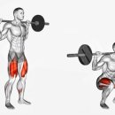 뉴바디짐휘트니스 이미지