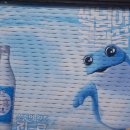 홍대365약국 이미지