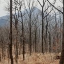 소호농장 이미지