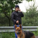 산책 이미지