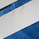 세천북로 이미지