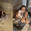 강아지사랑 이미지