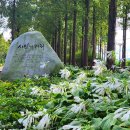 하늘공원(하부) 이미지