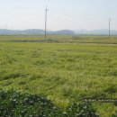 당산1리마을회관 이미지