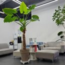 예성치과의원 이미지