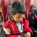충주 국원유치원 충북일보