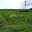 원당리농장 이미지