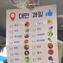 타이중 | 일월담 무지개마을 고미습지 일일 투어 추천 후기