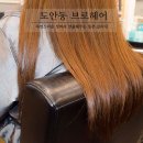 도안동미용실 브로헤어 클리닉 후기 ❤️