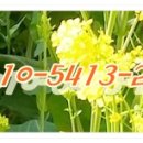 용죽2로 이미지