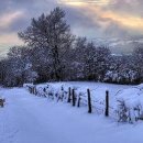겨울나그네 이미지