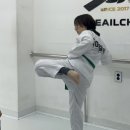 태아일체태권도센터 태권도장 네이버블로그