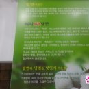 목화밀냉면