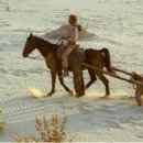 마카로니웨스턴 이미지