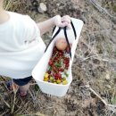 써니하우스 이미지