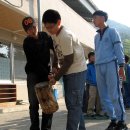 구포초교 이미지