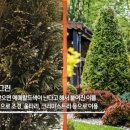 최문호 농장 이미지