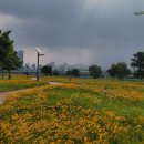 도안 금성백조(701동) | 도안7단지백조의호수예미지아파트 급매