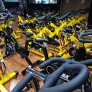 에이스GYM